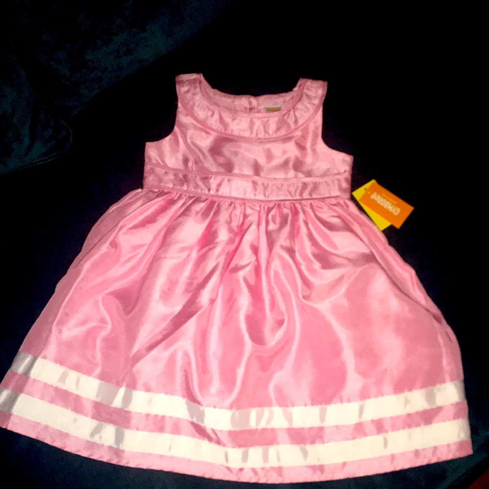 NEW Whit Tags GYMBOREE cute Girl Dress